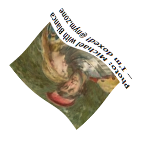 Loading dizzy image...