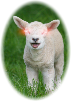 Laserlamb®