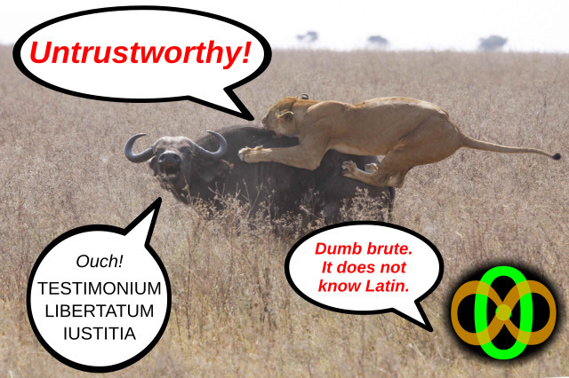 Image: Cat vs. dumb brute