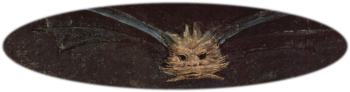 Photo of LAUDA as a FLYING CATBAT