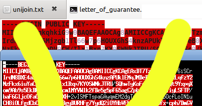 Image loading...
